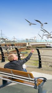 shoreham-coronation-green-seagulls-being-fed